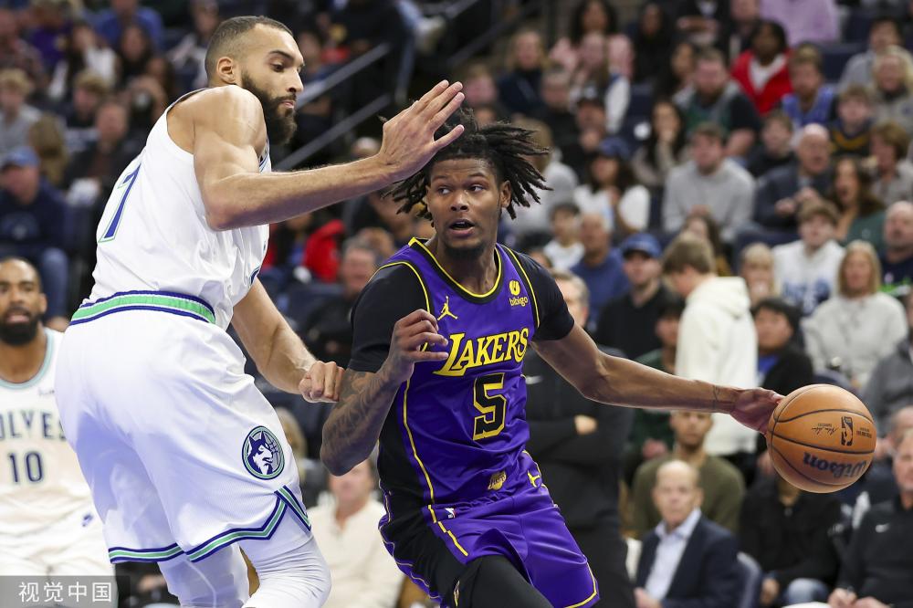 代表着猫咪 代表着猫咪