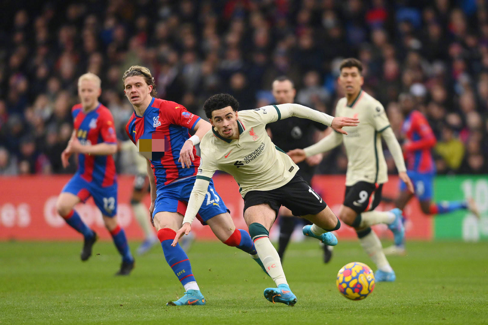 重要意义 重要意义