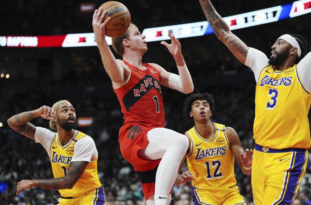 仅存在于制 仅存在于制